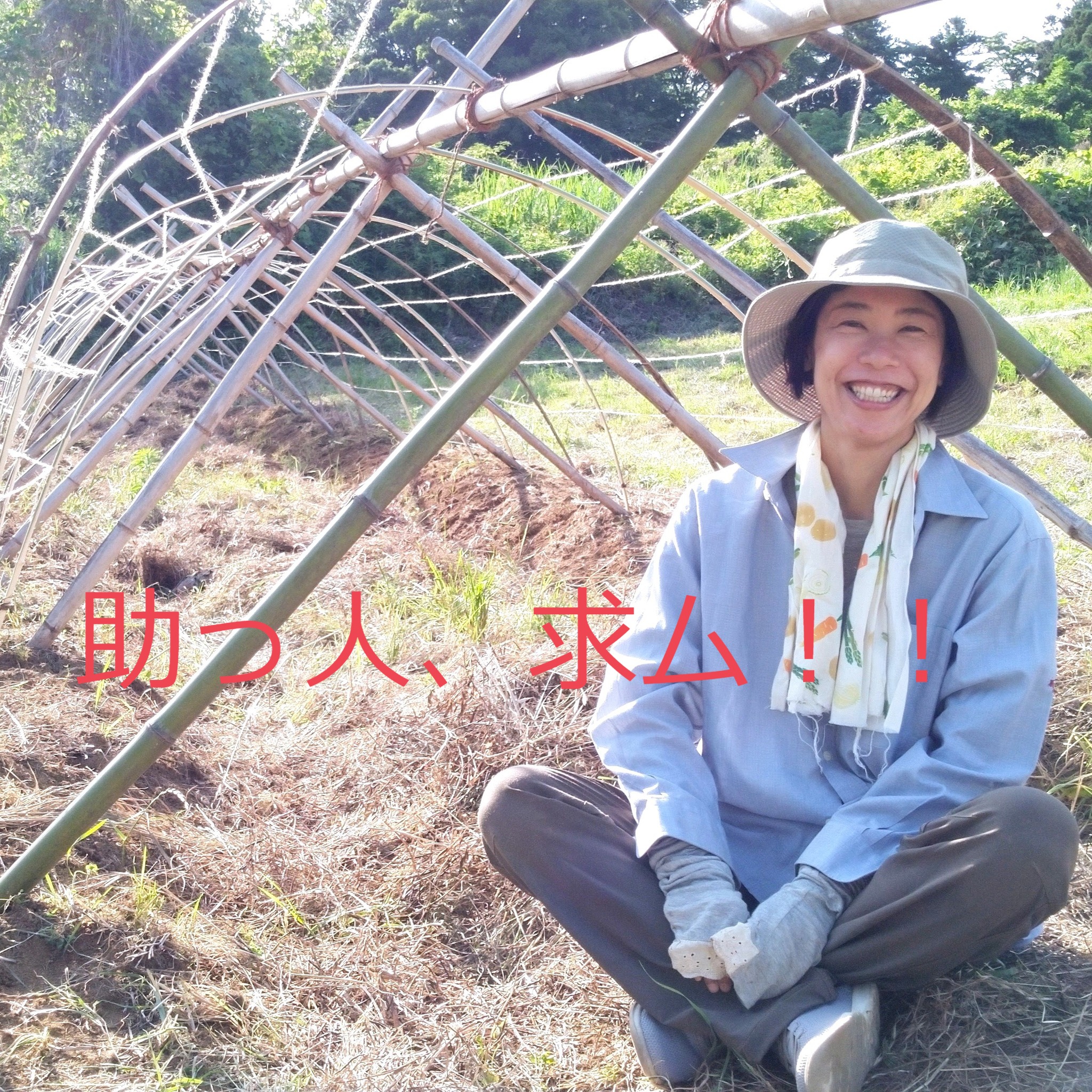 ２０２３．１１．２３  へちま便り 「助っ人募集中！」