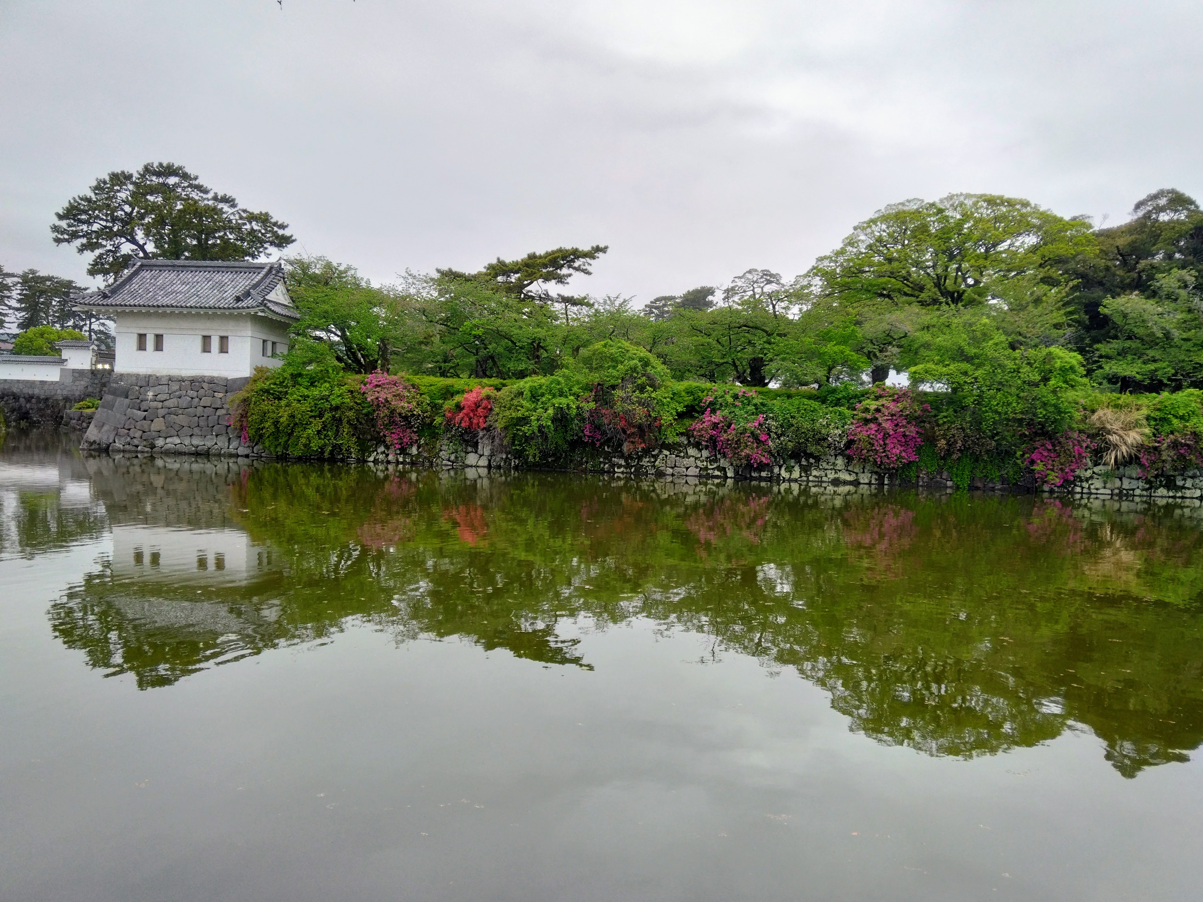 2026.2.5 へちま便り 【涙の予感…】