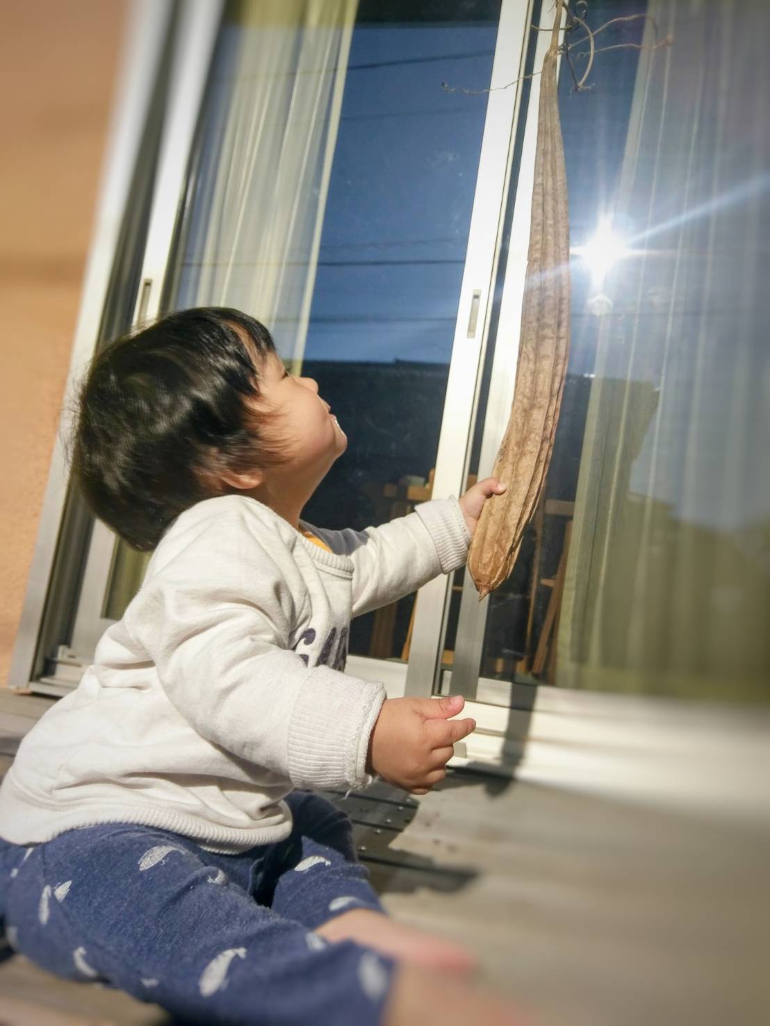 ２０２５．９．９     へちま便り  【へちまの剣！？】