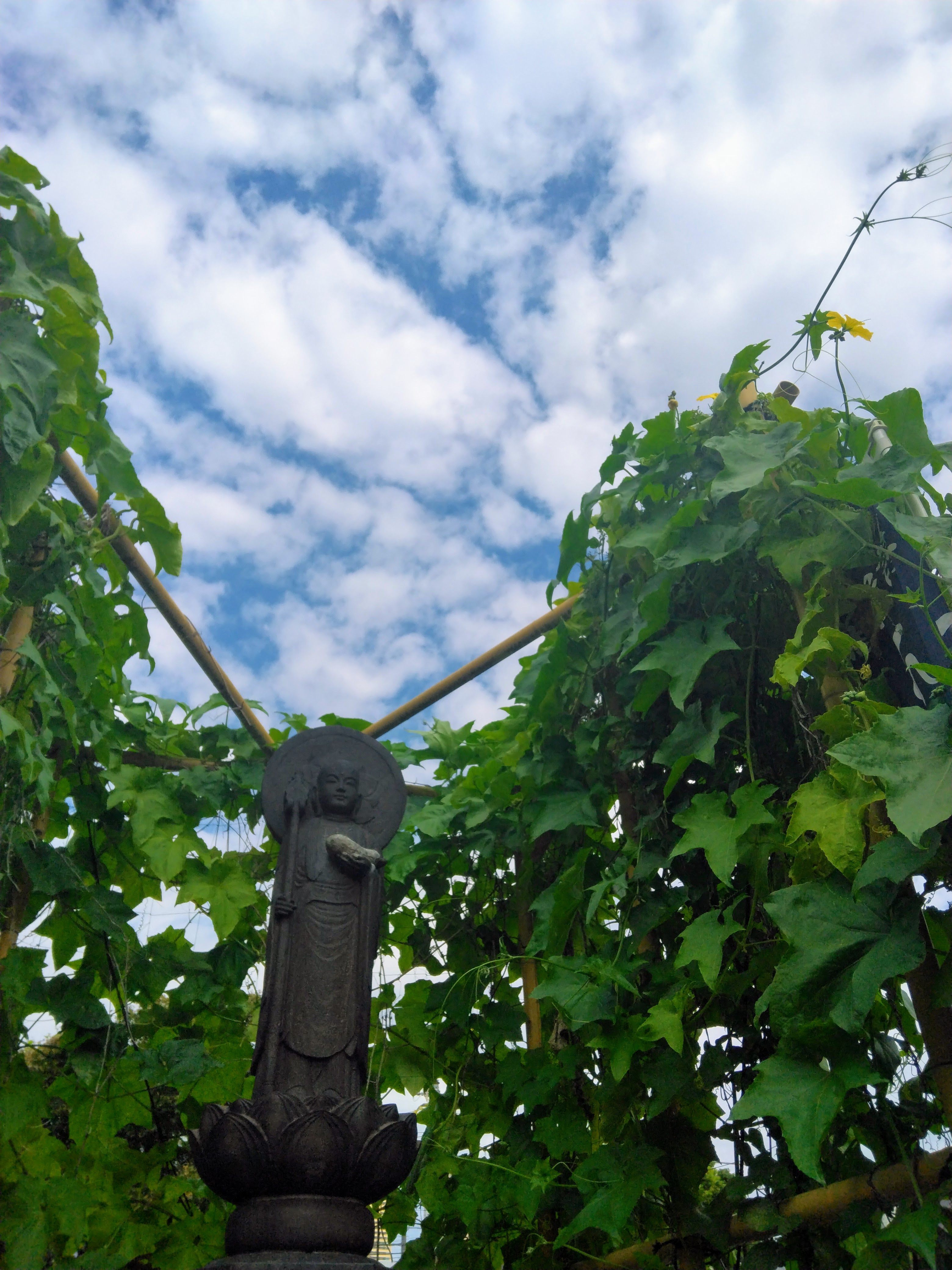 ２０２５．１０．１   へちま便り 【へちま参拝2025秋】