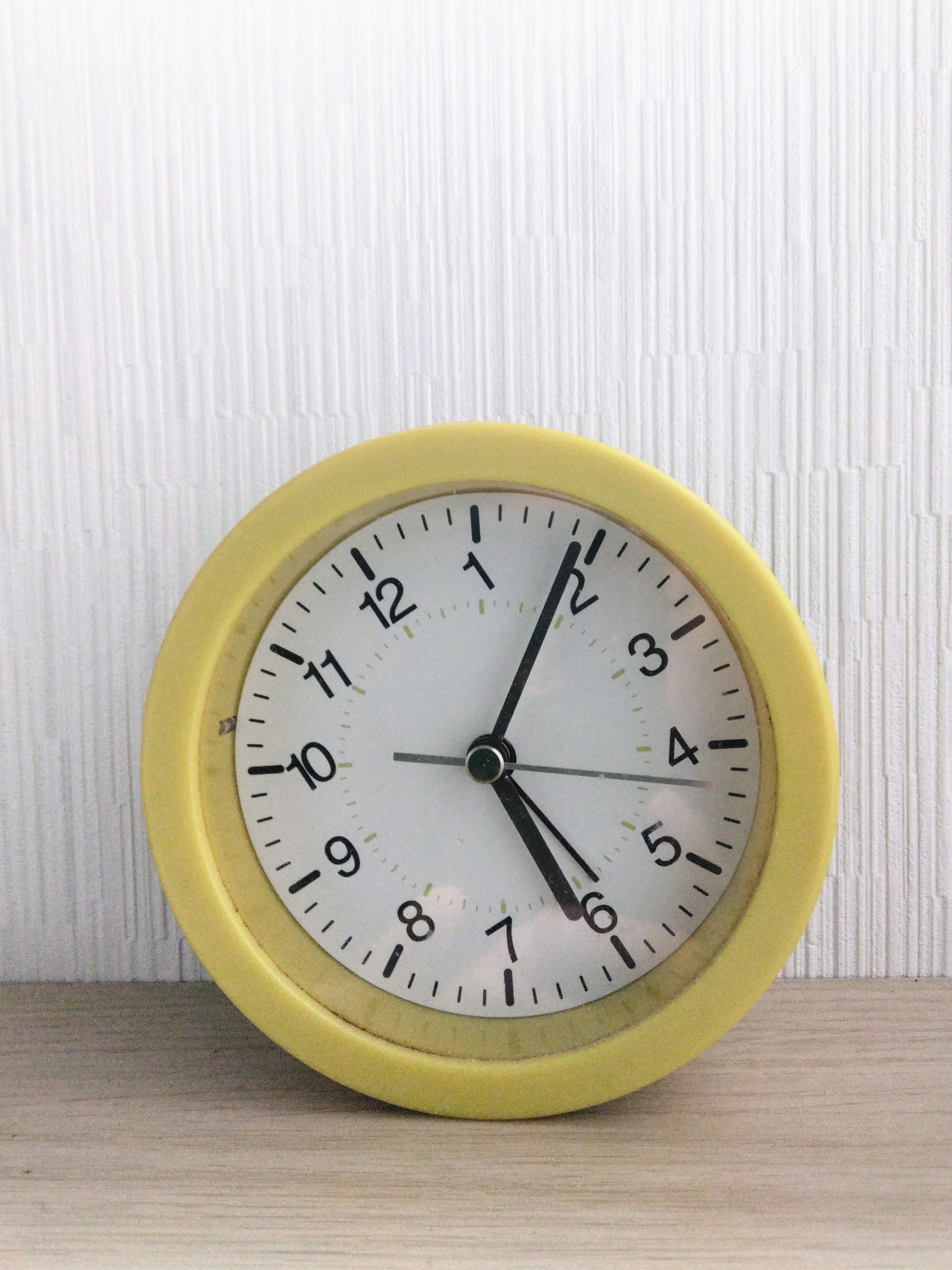 ２０２６．２．２６  へちま便り 【まだかな…】