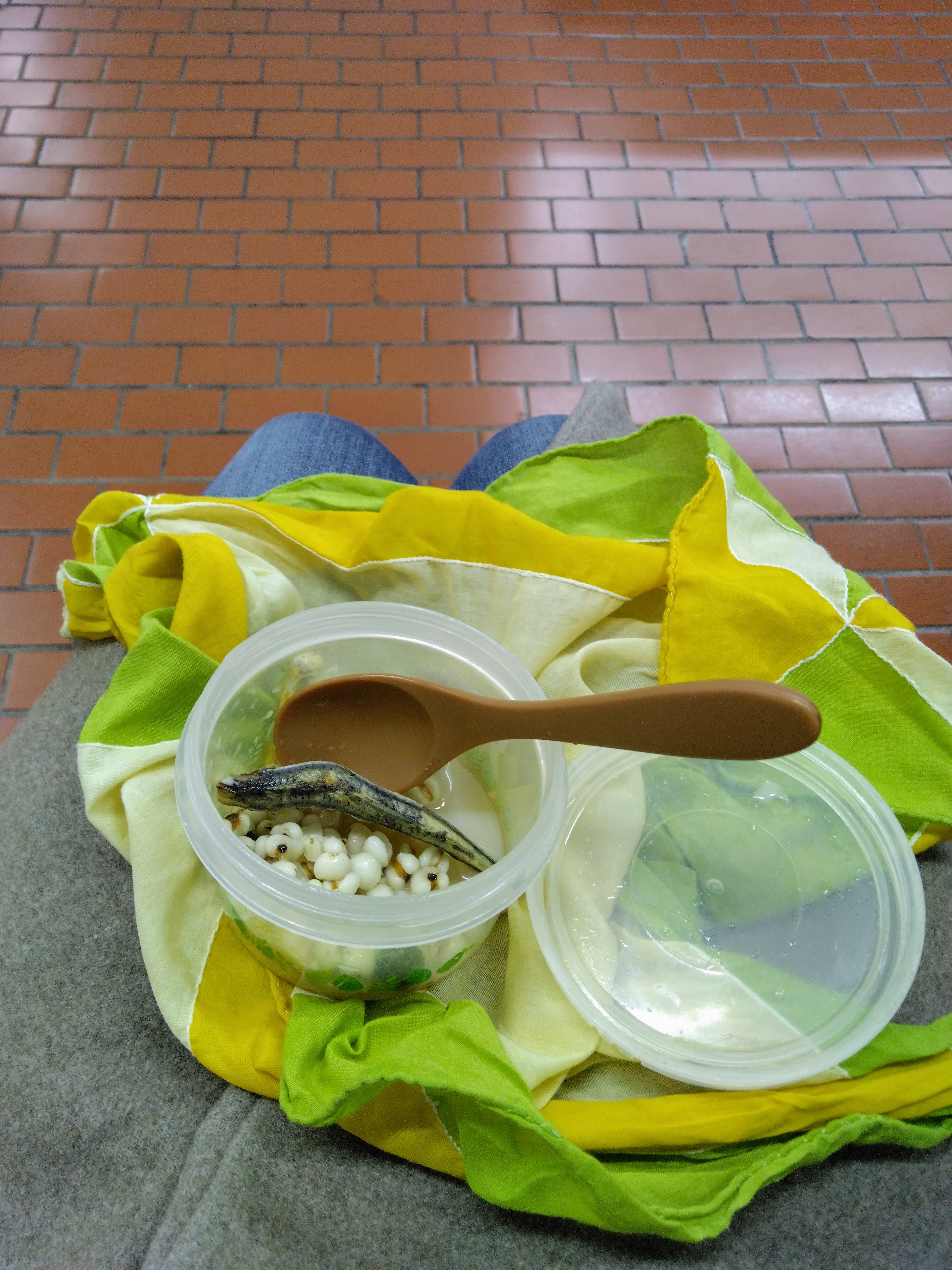 ２０２６．１．１４     へちま便り  【へちま日記0108】