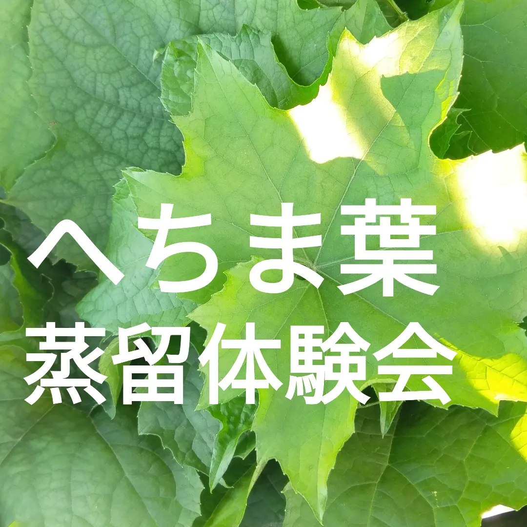 ２０２３．７．２７  【へちま葉蒸留体験会へのお誘い】