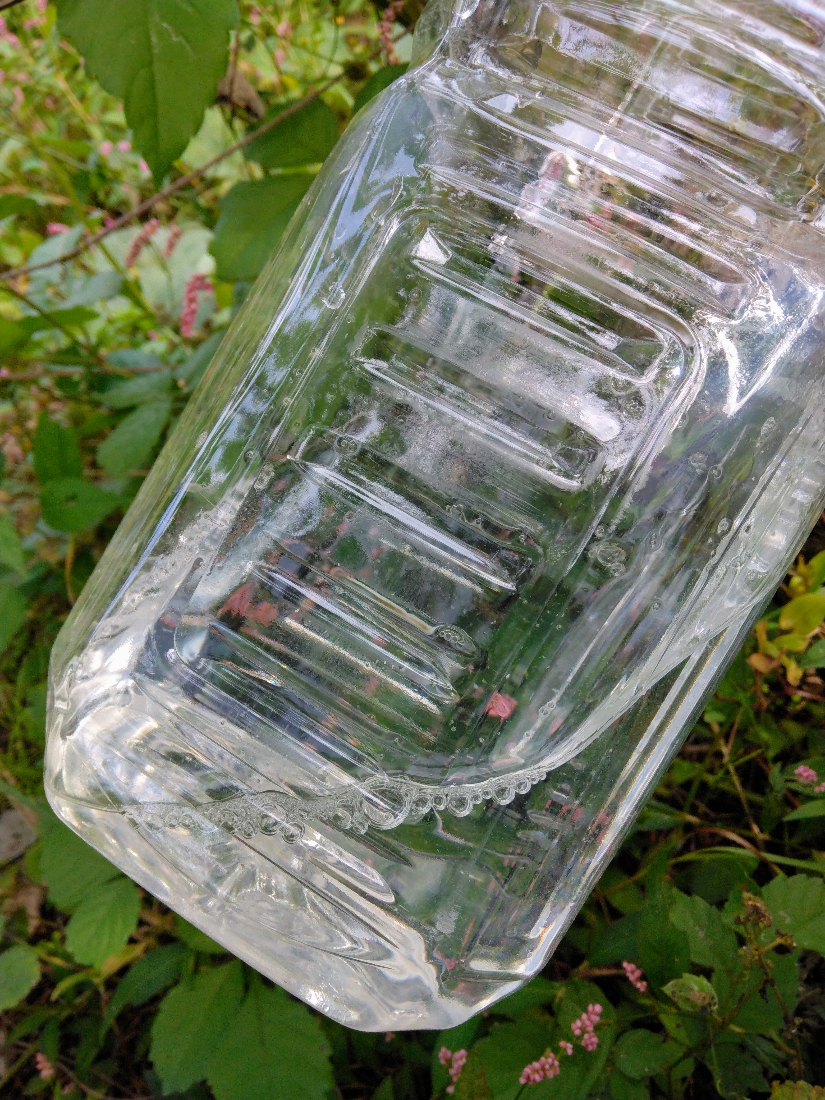 2025.10.30 へちま便り【畑の記録1029】