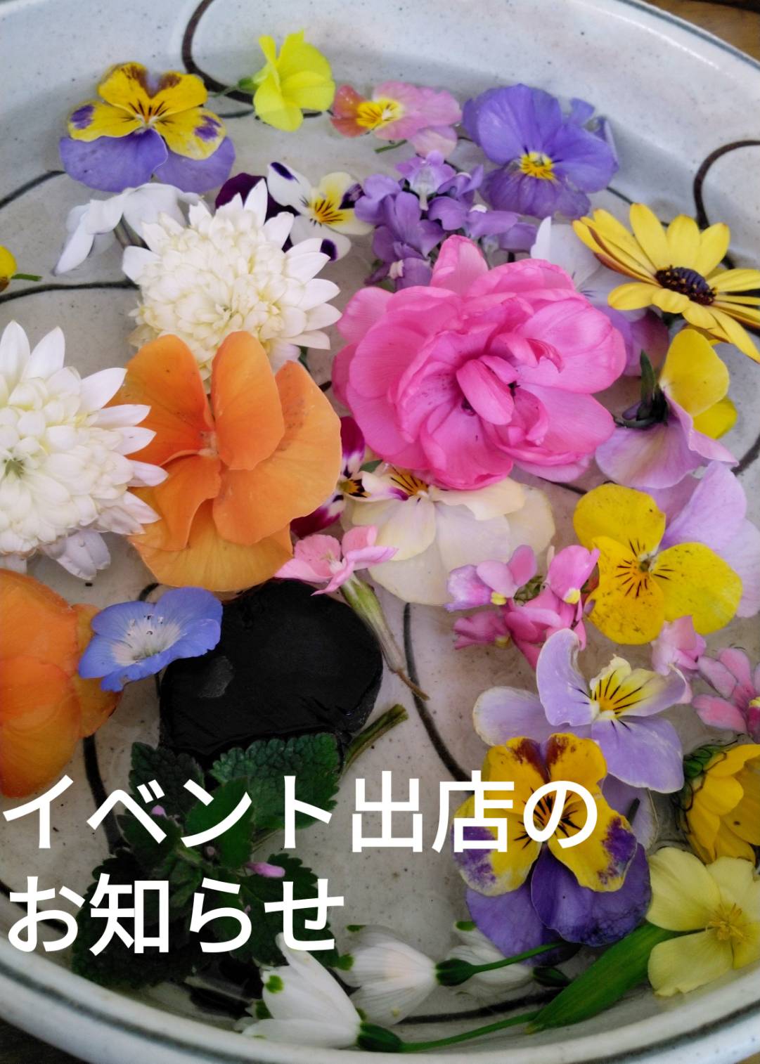 ２０２５．３．２９ へちま便り「イベント出店のお知らせ」