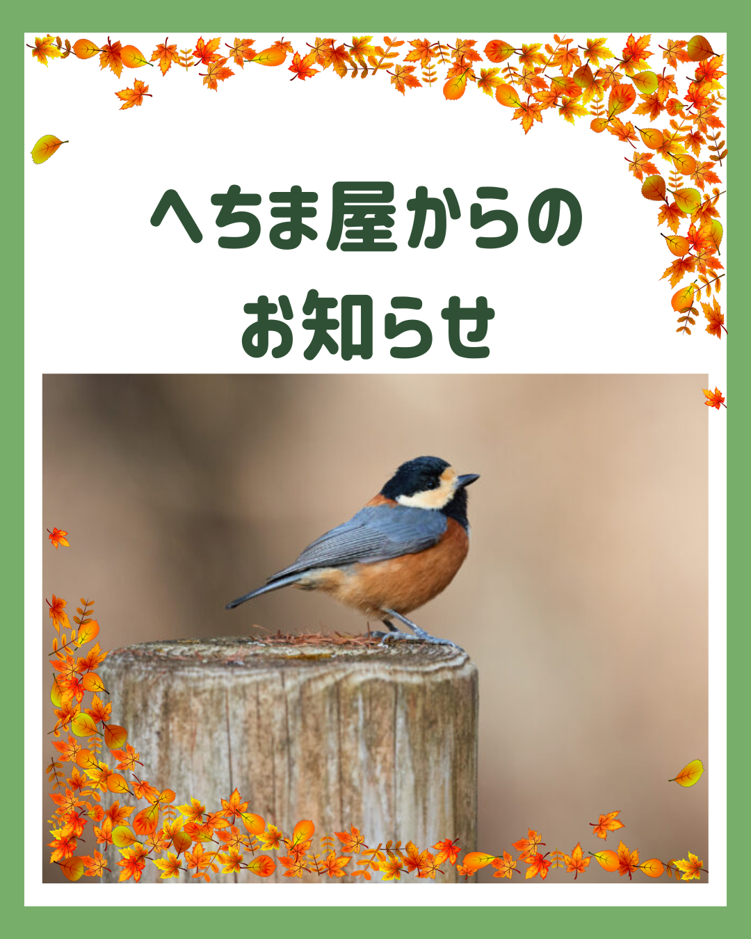 2025.11.3 へちま便り 【I💕二宮町】
