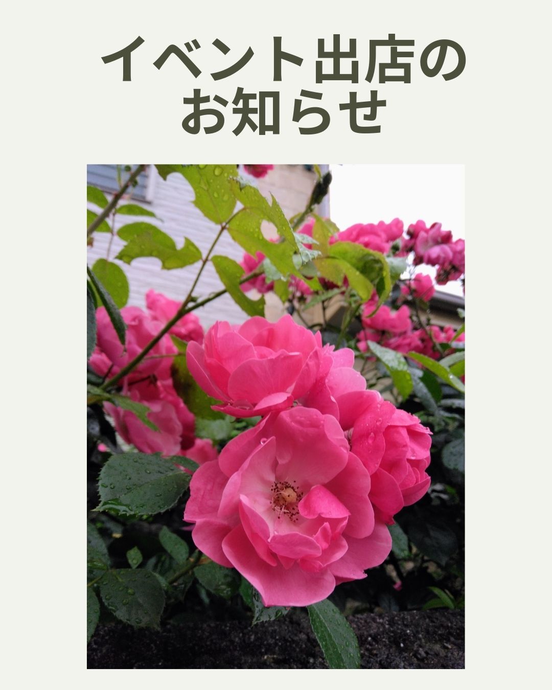 ２０２５．９．１１  へちま便り 【🆕イベント出店のお知らせ】