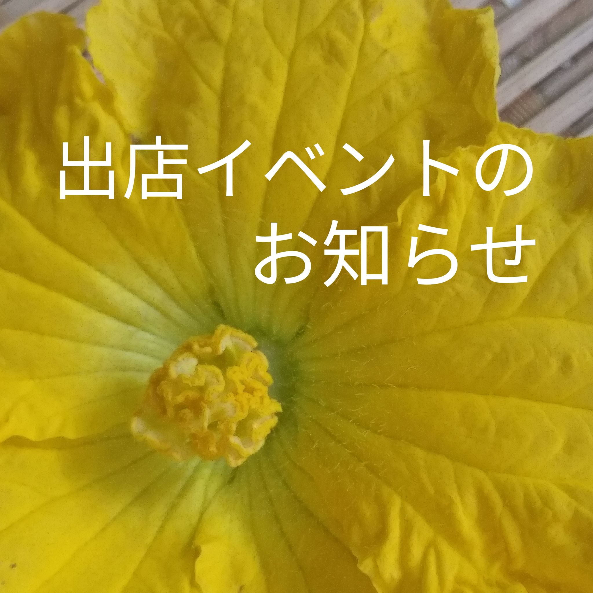 ２０２４．１１．１８  へちま便り 「出店イベントのお知らせ」
