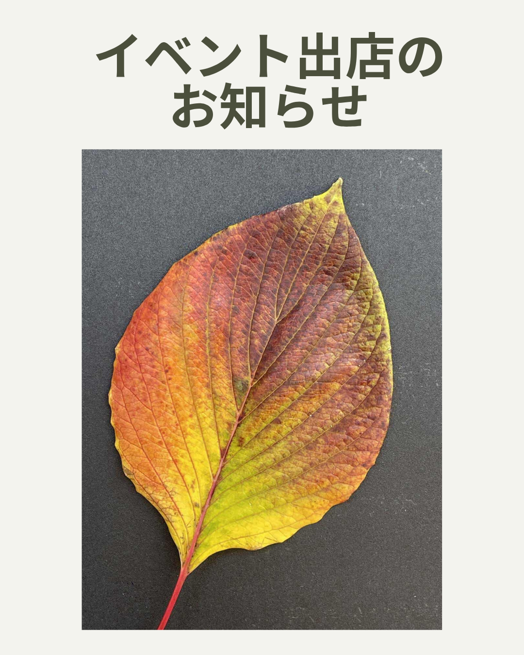 2025.11.12 へちま便り 【イベント出店のお知らせ】