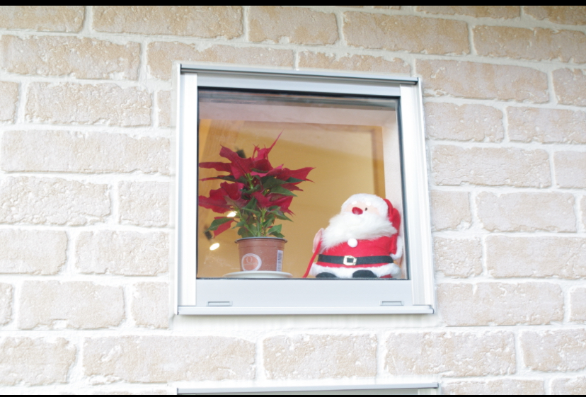 忙しい農家のクリスマス。出荷場に届いたサンタのケーキと、卵でつながる思い出