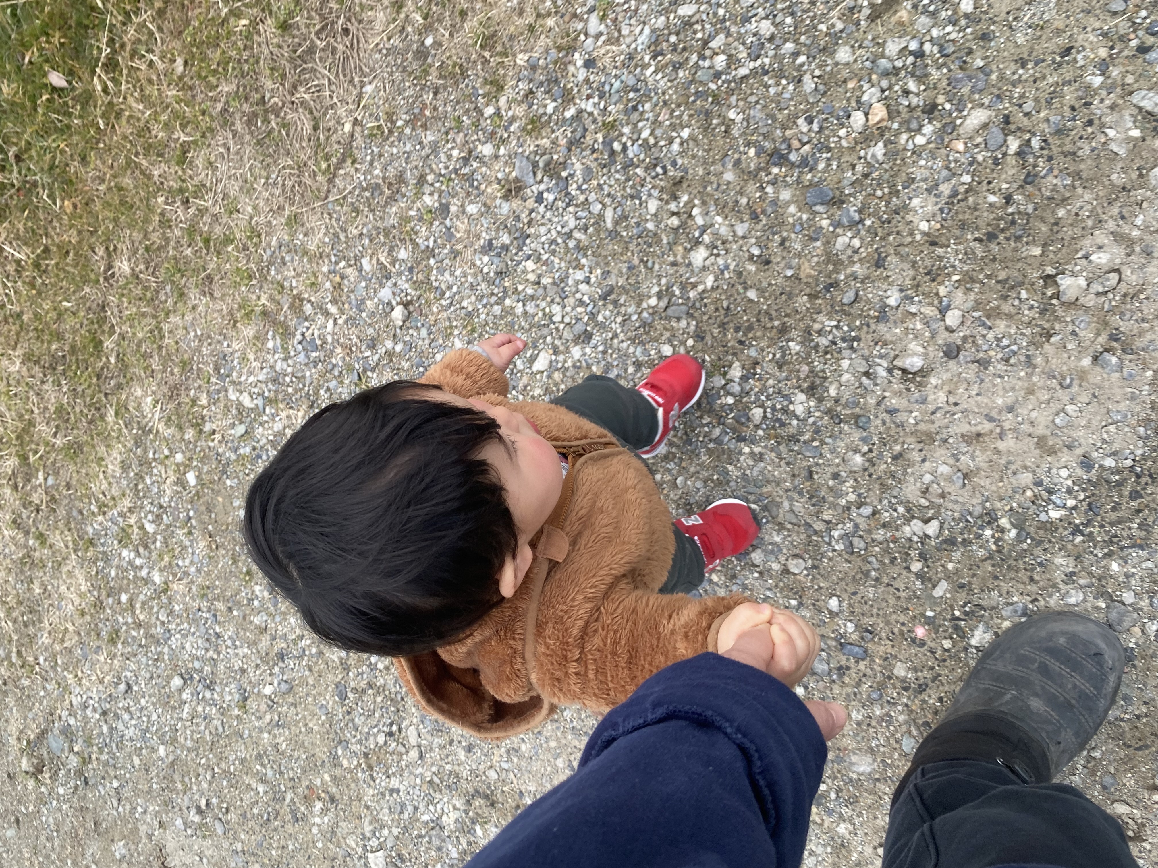 梅が咲きはじめました｜春の農場だよりと、店頭限定「初っ子・双子卵」のお知らせ