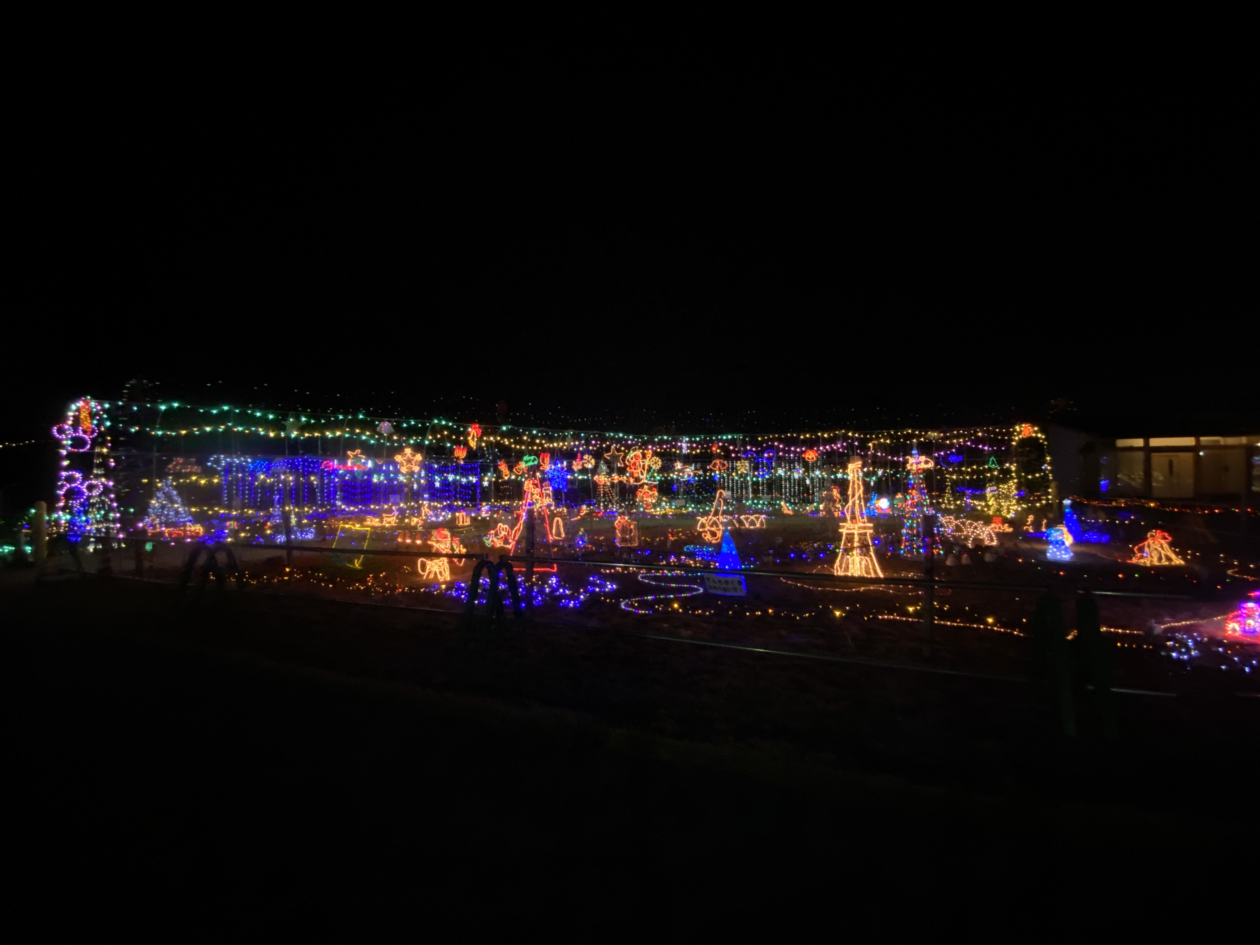 仕事終わりに癒される。五條市役所イルミネーションと親子で夜さんぽ