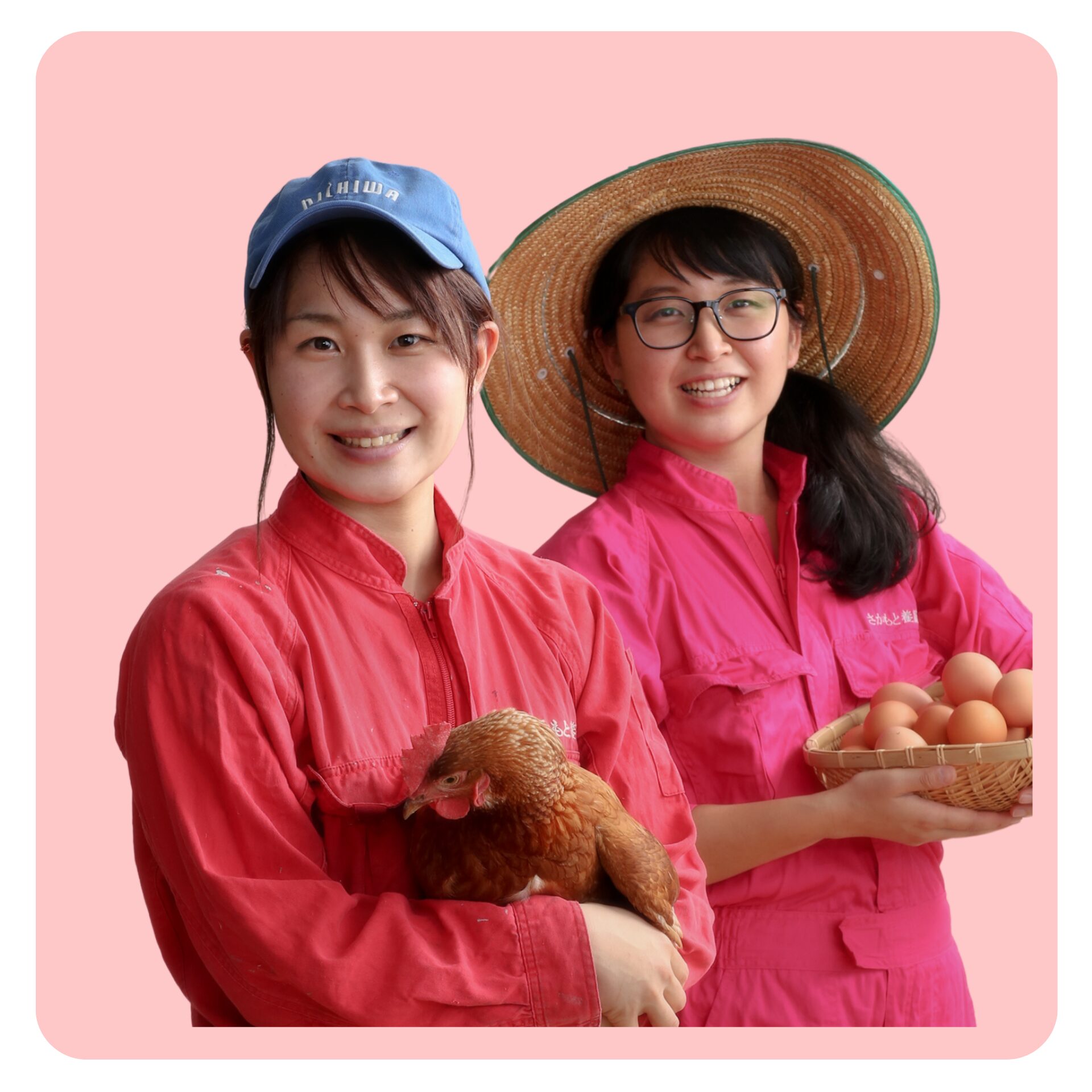 初産み卵とは?初卵とは?にお答えします!