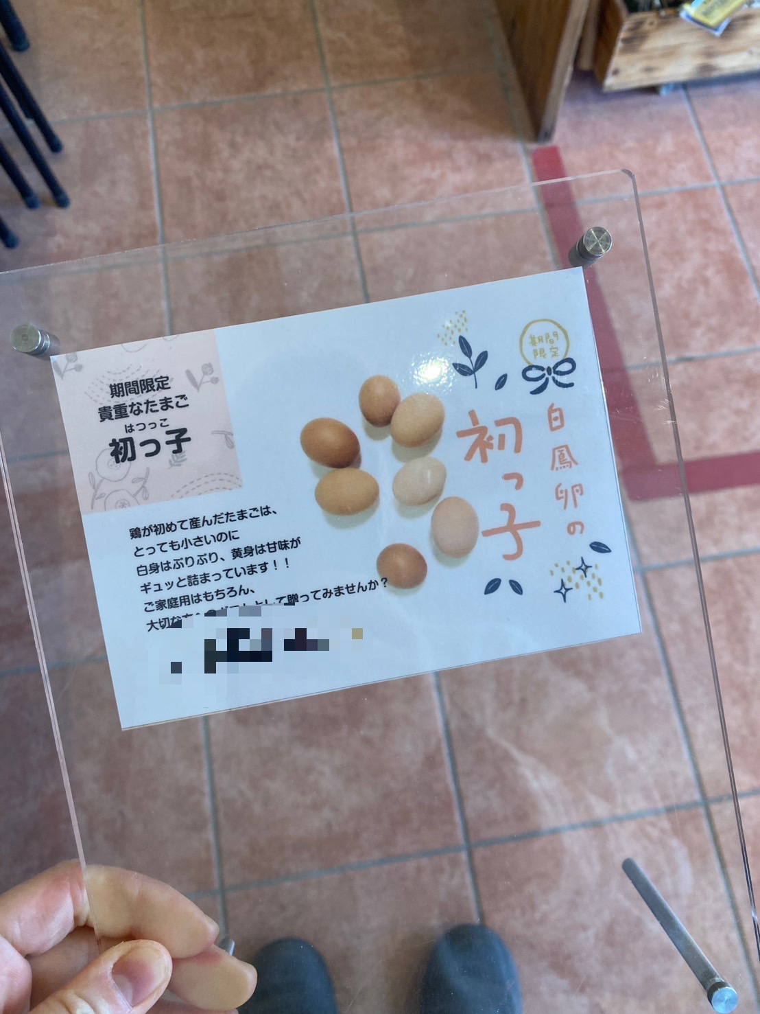 初っ子たまご今季販売終了のお知らせ｜次回は5月頃を予定しています