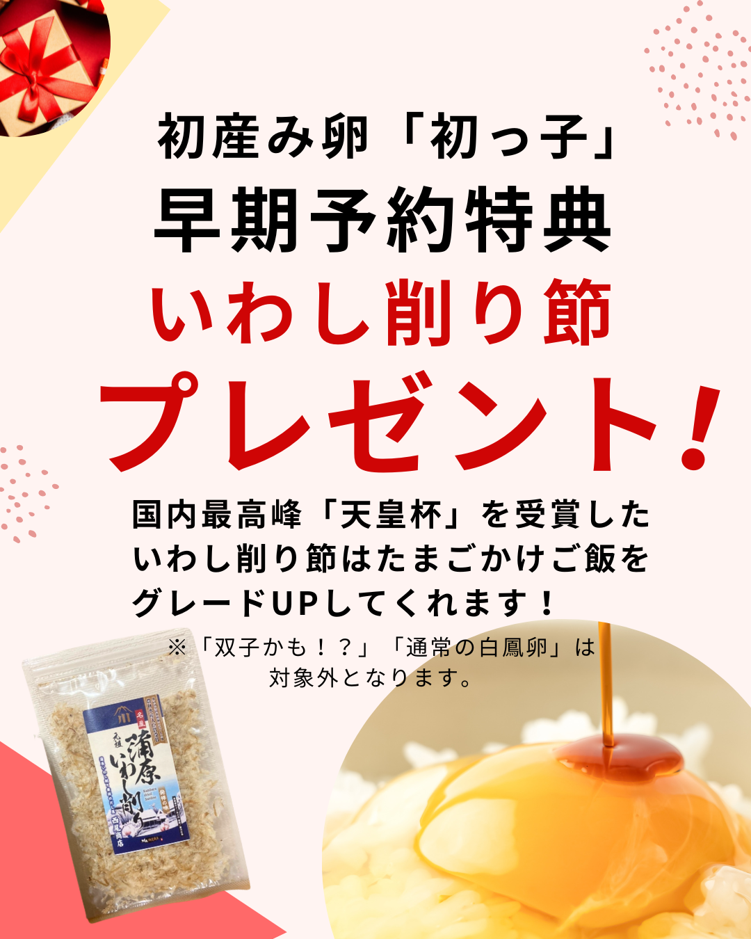 初っ子の早期予約特典「いわし削り節」とは？たまごかけご飯がもっと美味しくなる理由