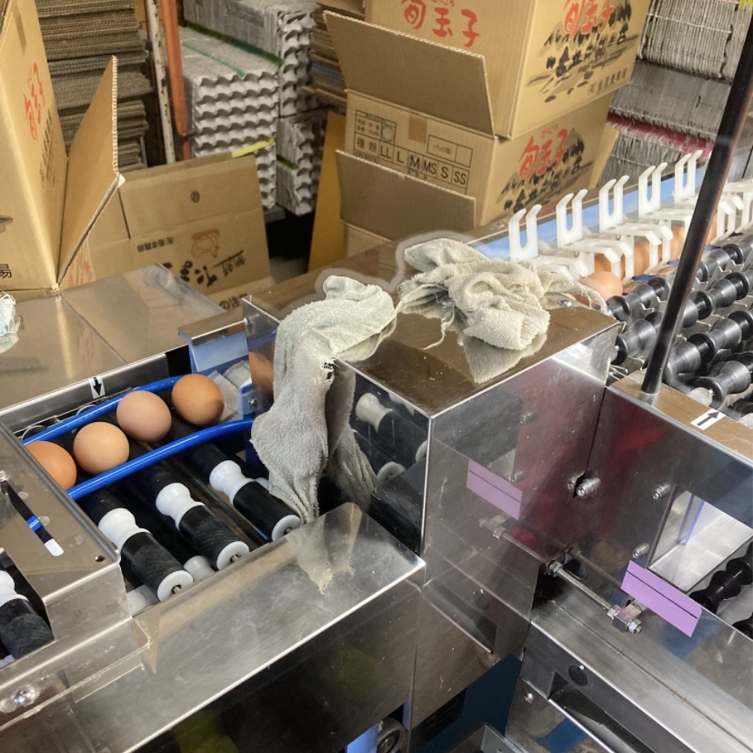 忙しい年末こそ要注意。洗卵現場で思い出した「確認する大切さ」と卵で免疫力アップ