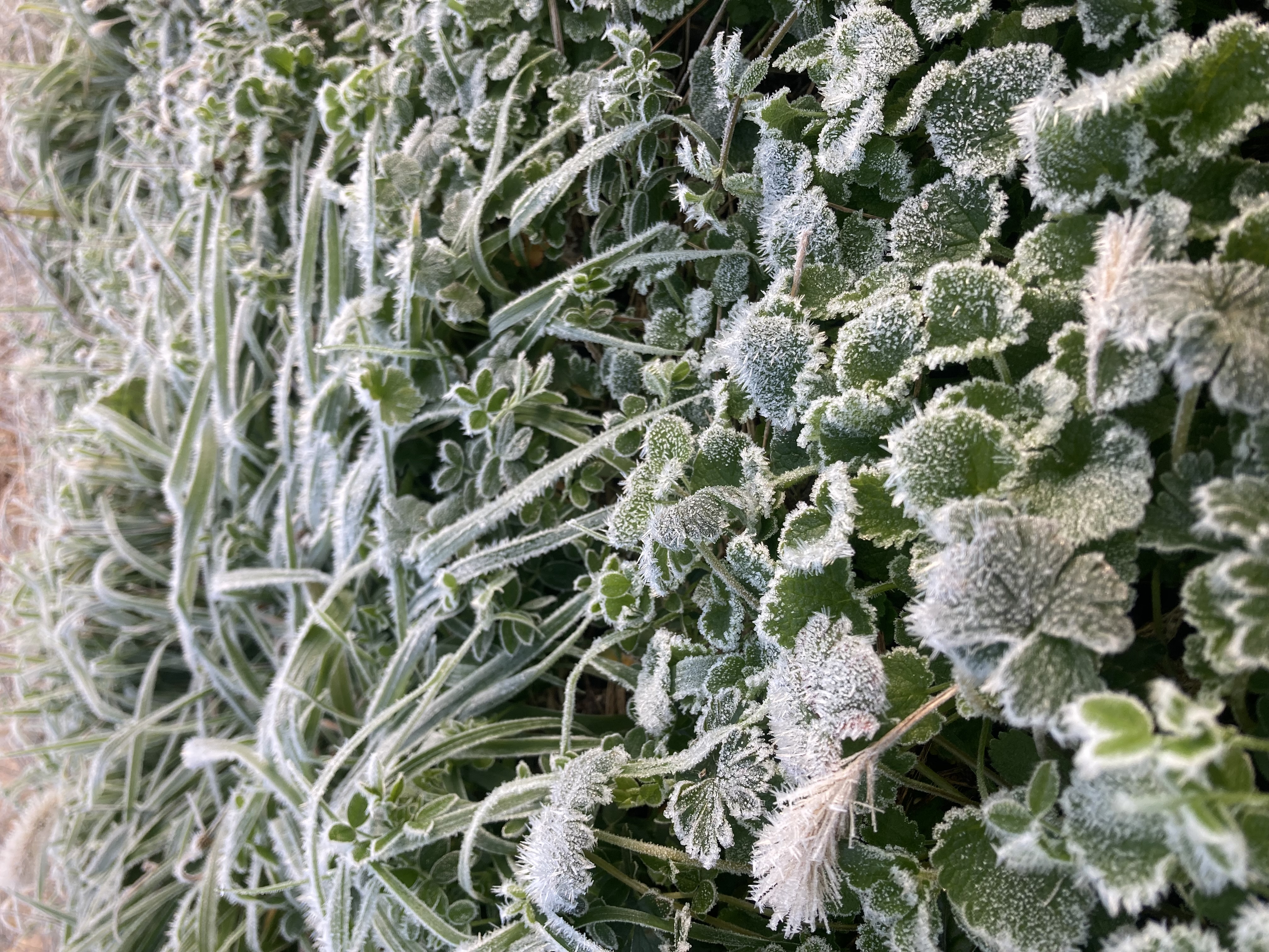 春高バレーの季節!スポーツの栄養補給に卵が最適な理由