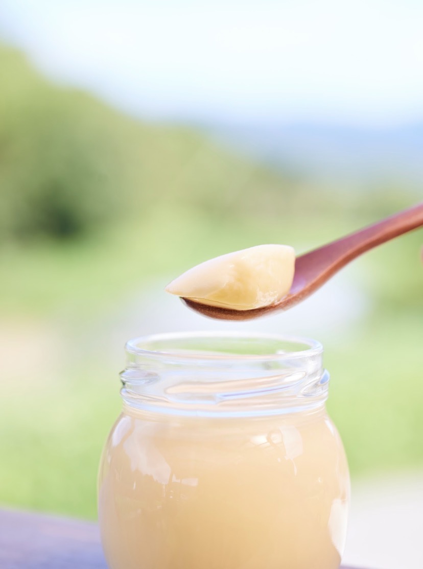 【農業女子の日常】大寒卵プリン大量製造後の成長と、子どもの卒乳の一歩