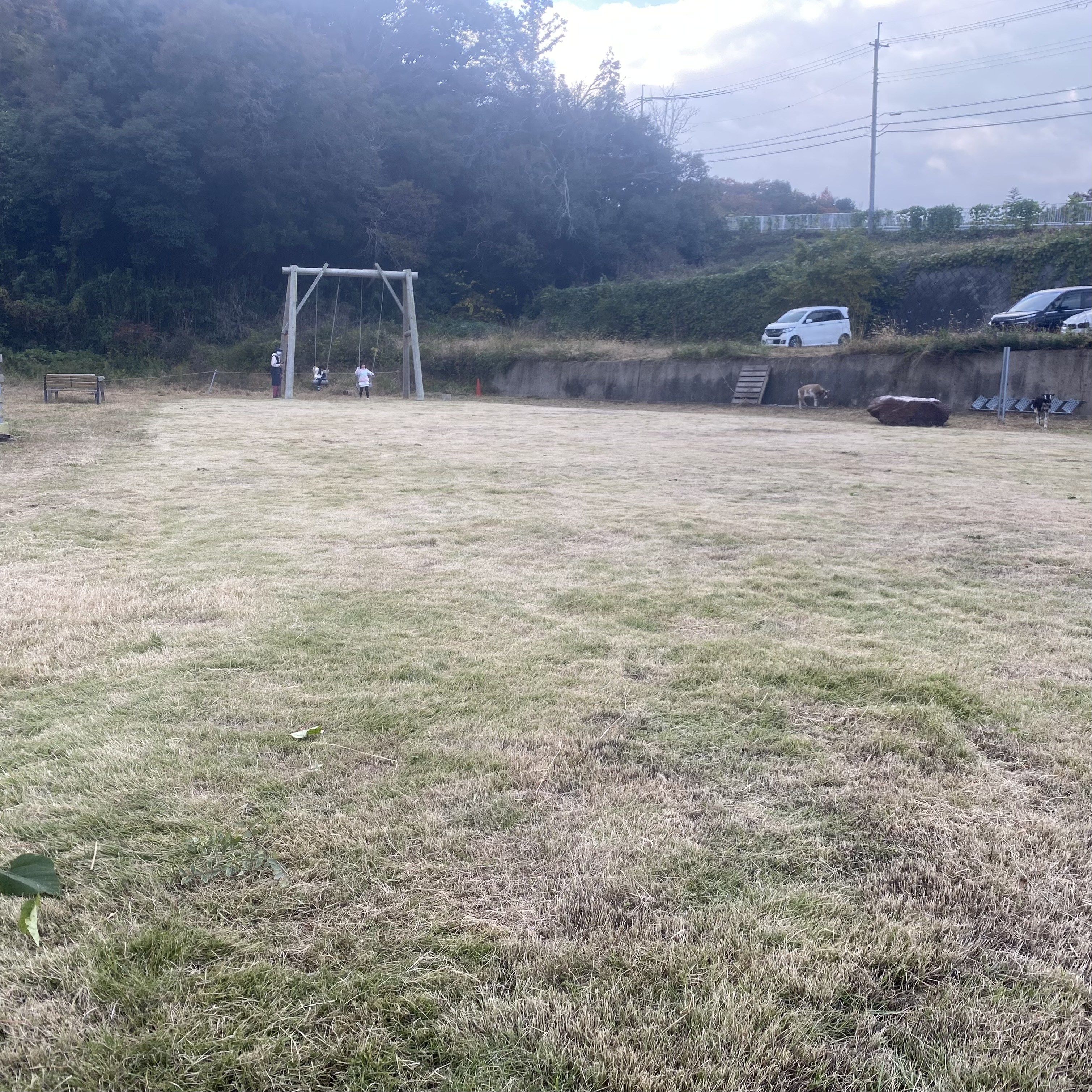 お歳暮に喜ばれる初っ子🥚!のし対応&全国発送可能」