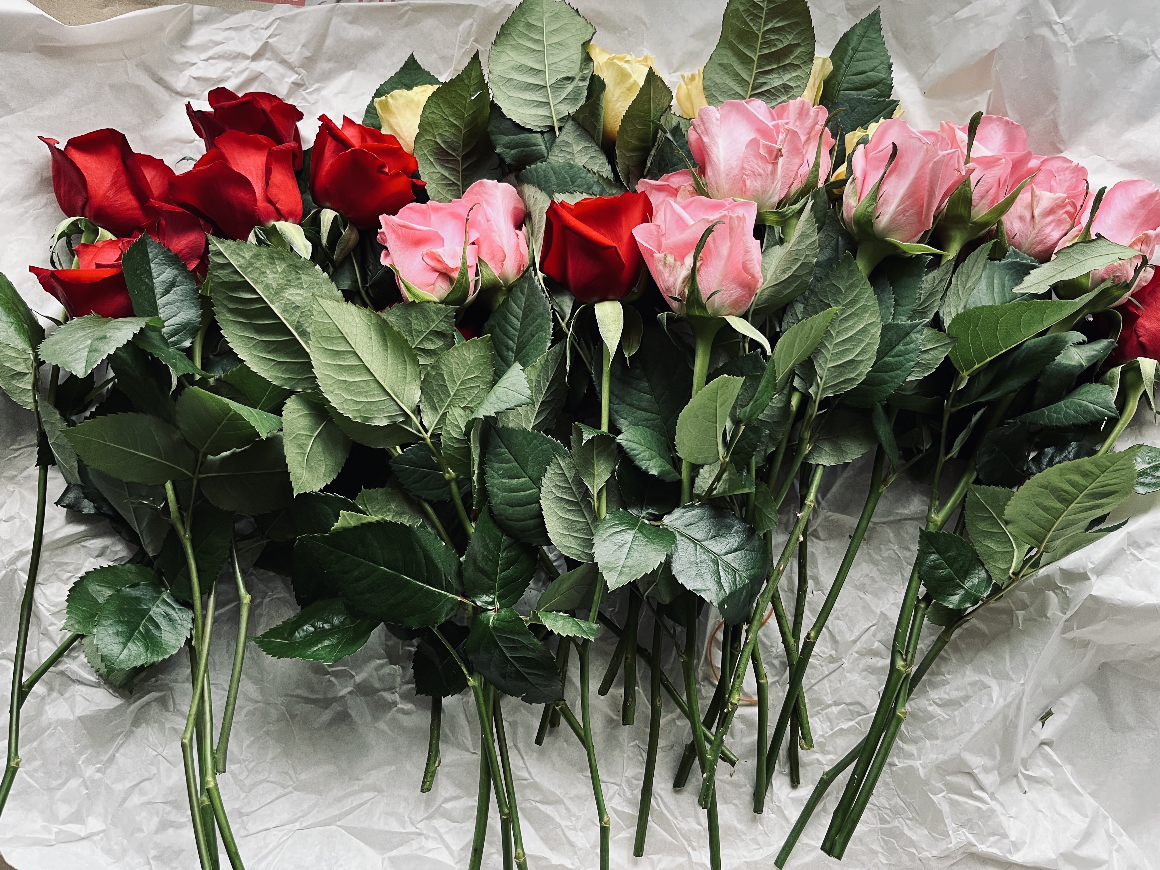 フラワーロスや業界の未来と向き合う「スマイルフラワープロジェクト」