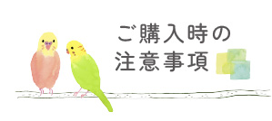 ご購入時の注意事項