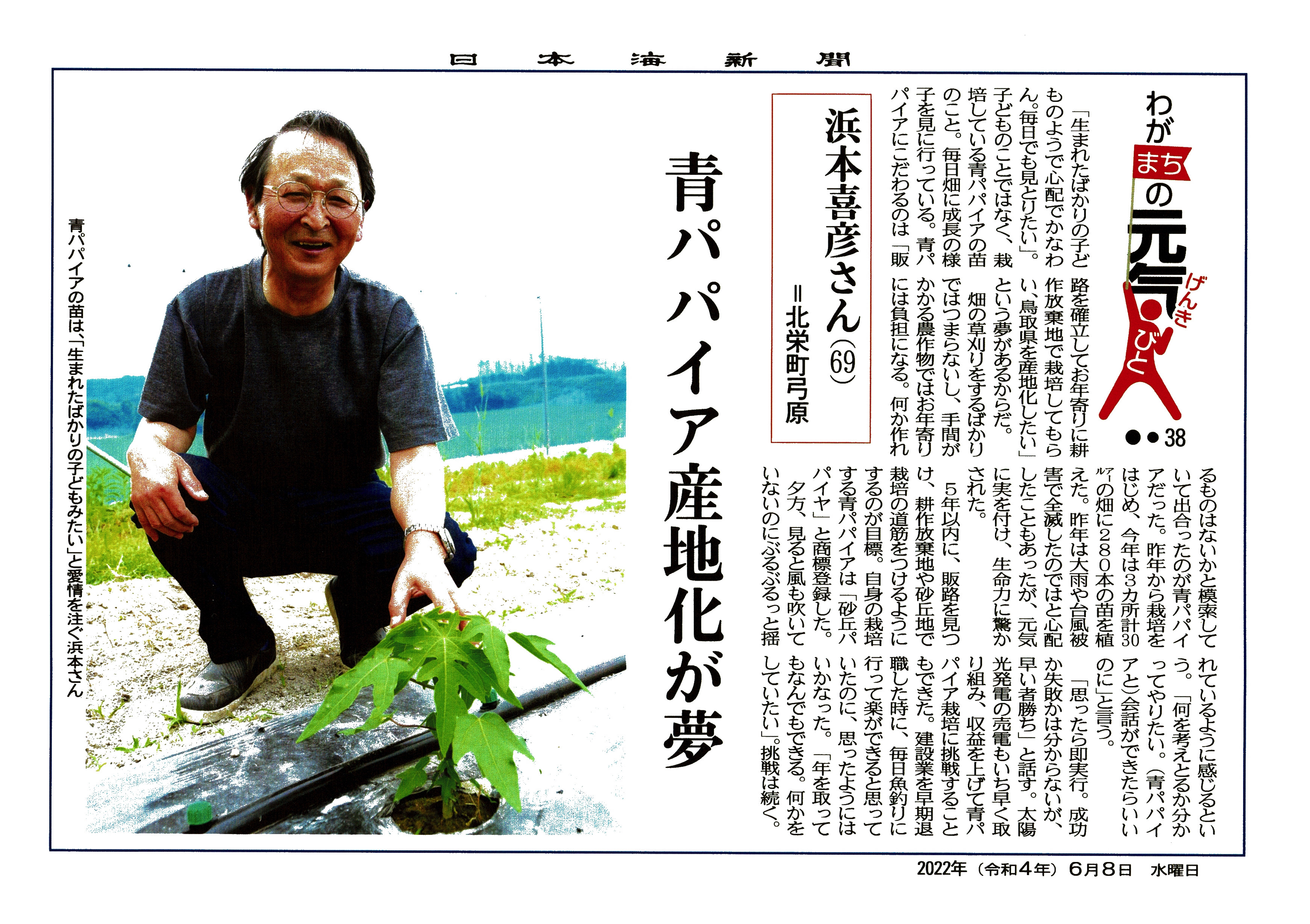 日本海新聞に「砂丘パパイヤ」が掲載されました