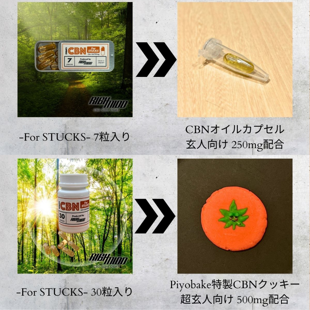 もれなく玄人向けCBNオイルカプセル＆CBNクッキープレゼント