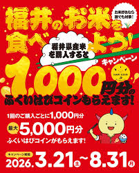 大野産コシヒカリはWでお得なキャンペーン中