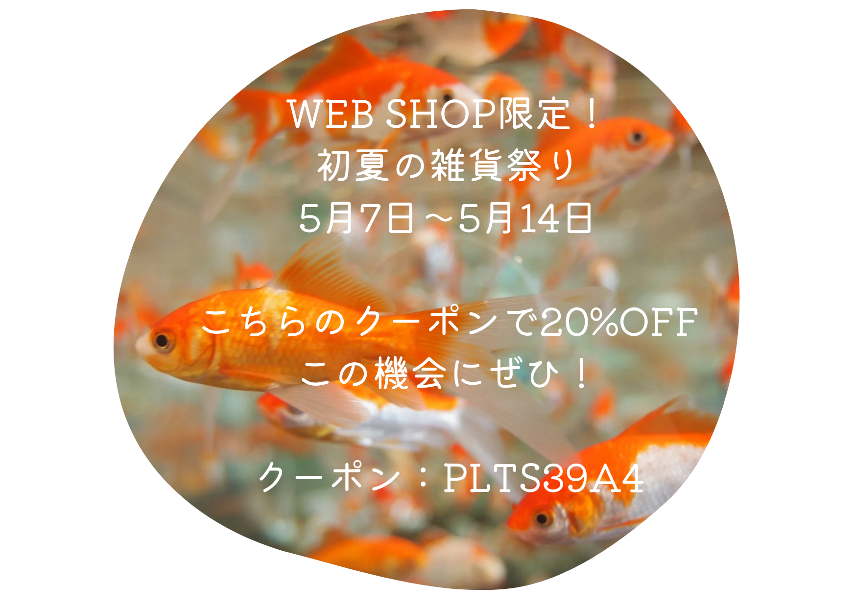 WEB限定！初夏の雑貨祭り開催！