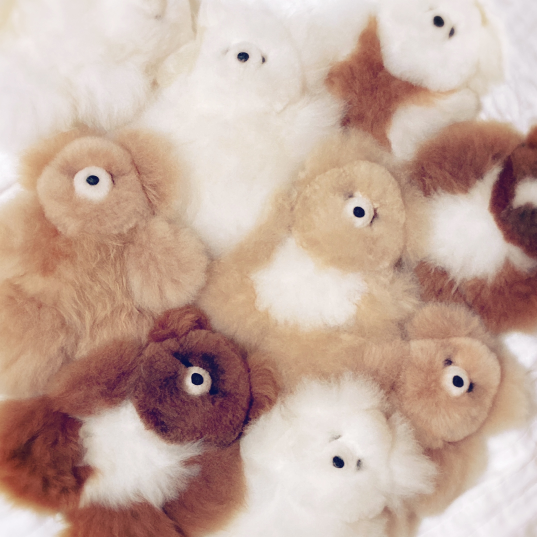 ペルー直輸入〜アルパカベビーベアのお店〜