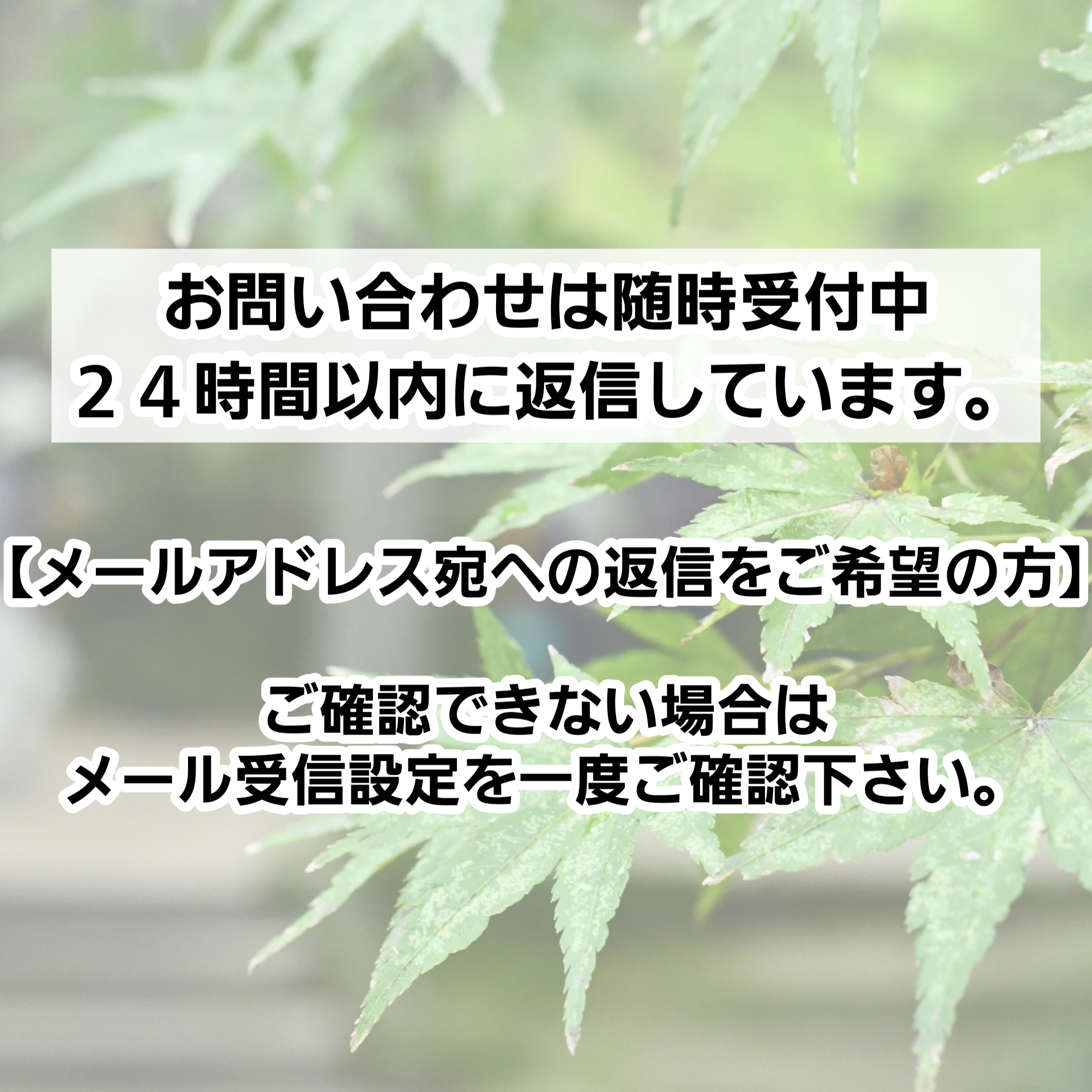 お問い合わせには24時間以内に返信しています。