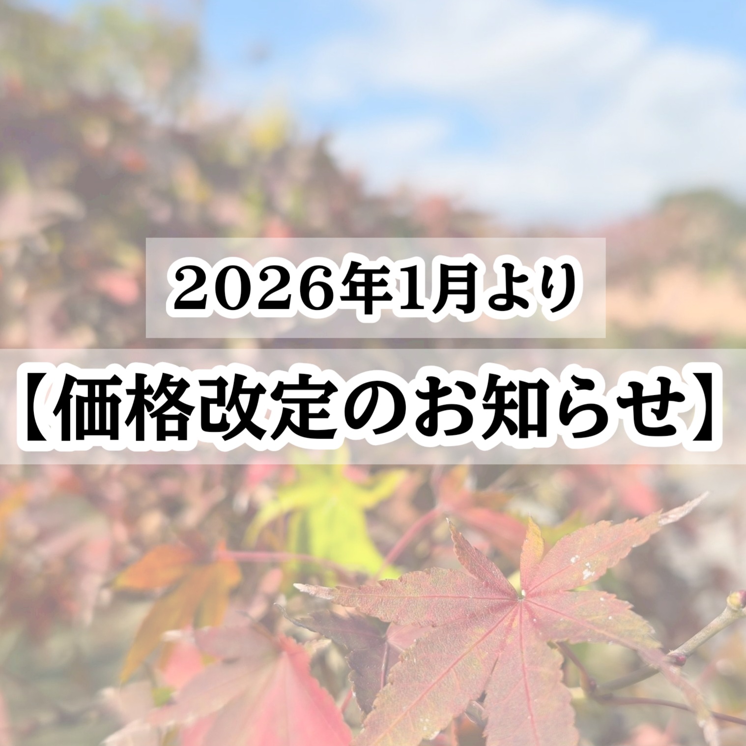 【価格改定のお知らせ】