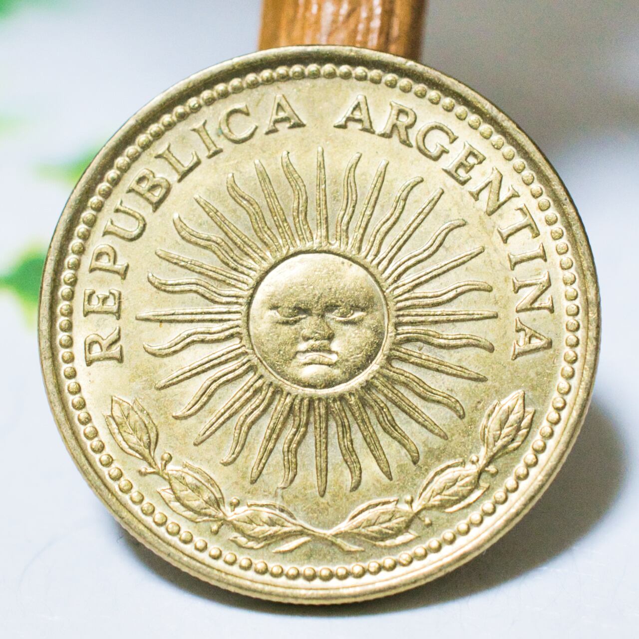 アルゼンチンベルは再販に伴い値上げとなります。