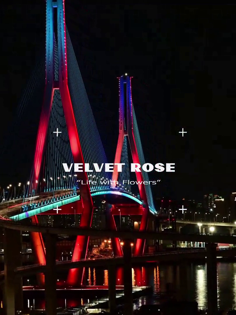 【Episode 0.1】名もなき予感