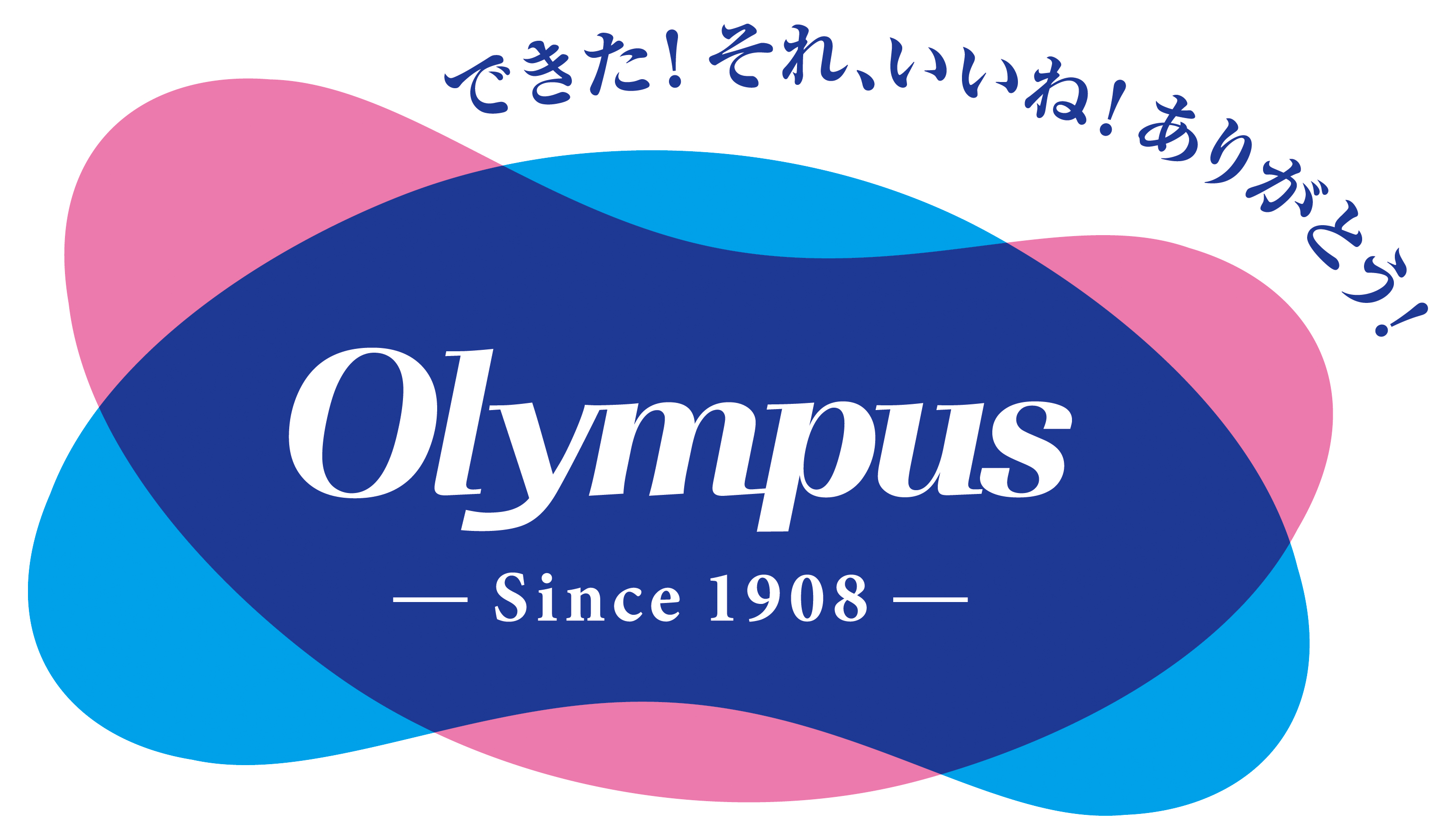【資材提供企業】オリムパス製絲株式会社