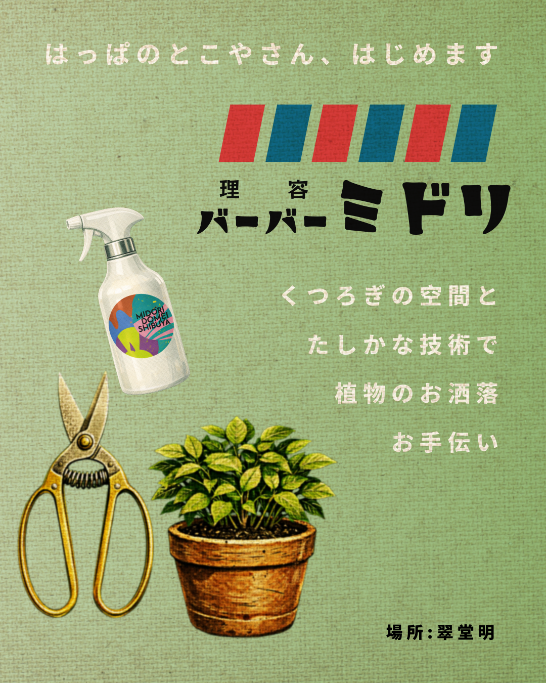 はっぱのとこやさん、はじめます🪴