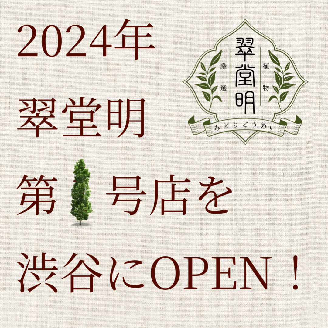 翠堂明 第1号店のOPEN決定！！