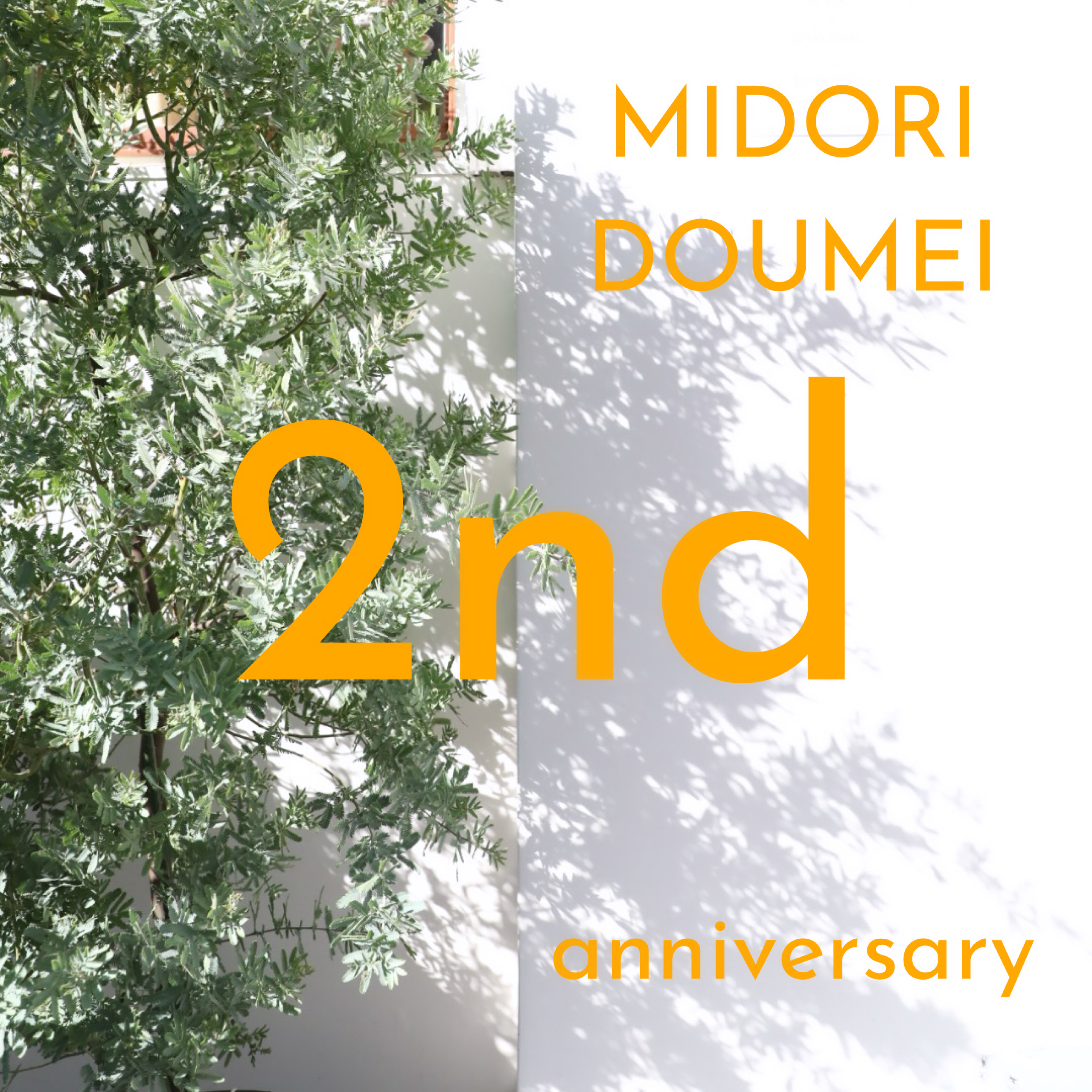 MIDORI DOUMEI 2nd anniversary 送料無料キャンペーン！