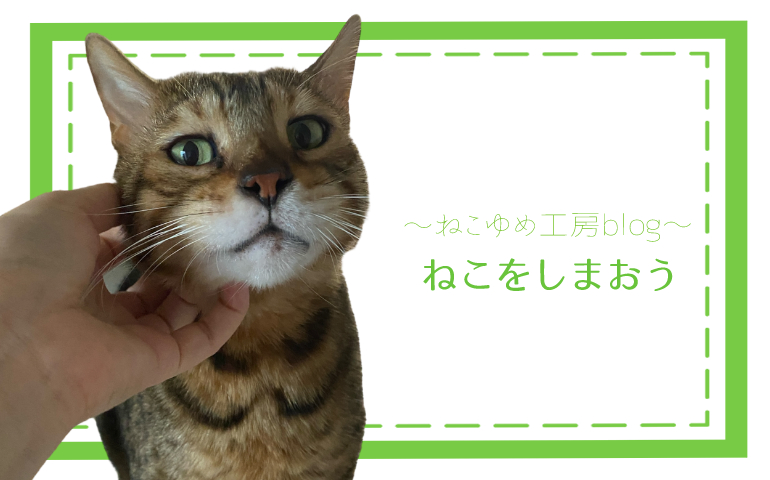 猫をしまおう