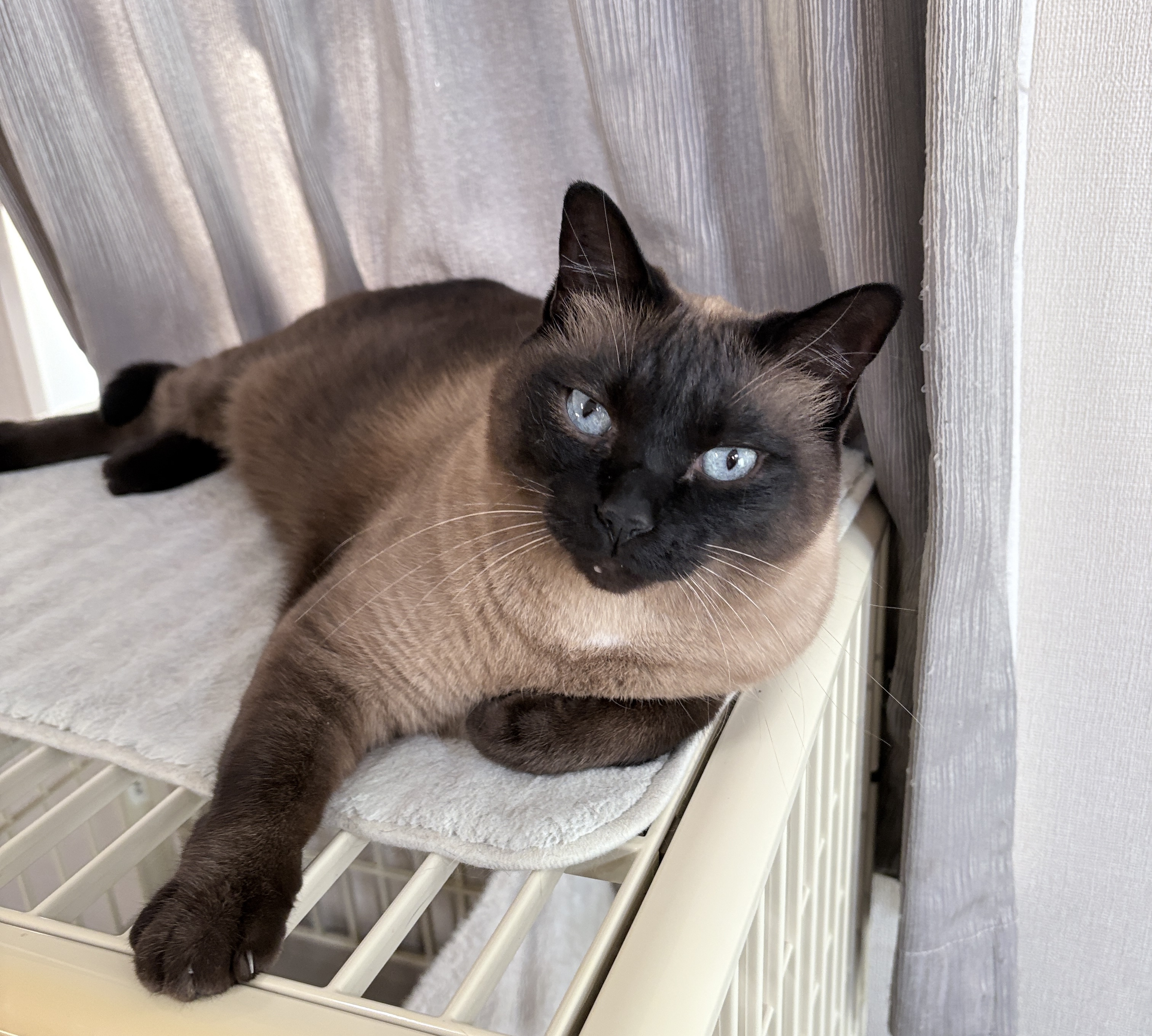 一緒に寝る位置によって信頼度がわかる？