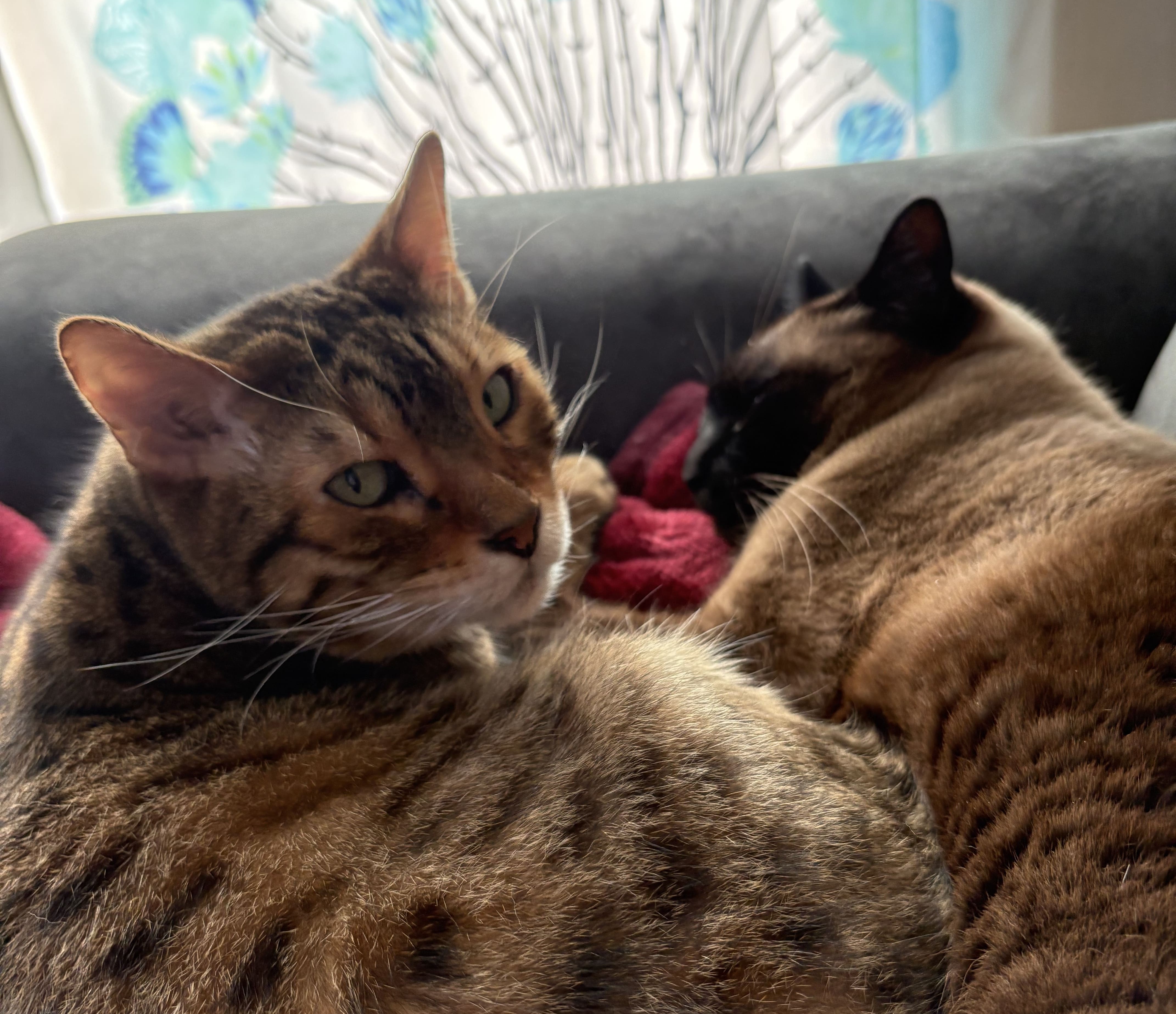 新年あけましておめでとうございます