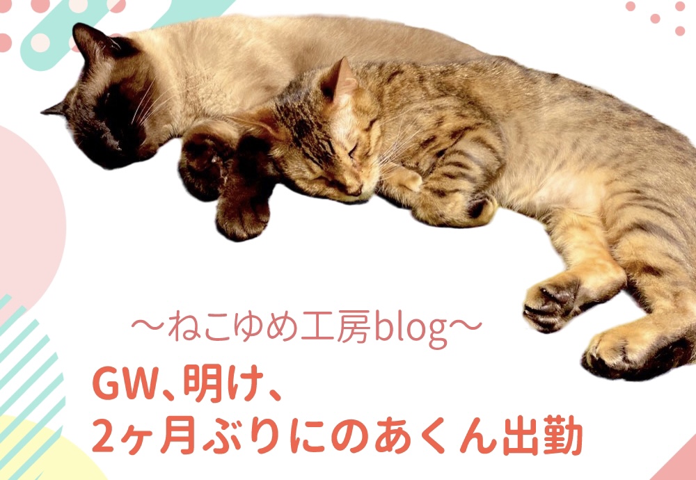ＧＷ明け、二か月ぶりにのあくん出勤