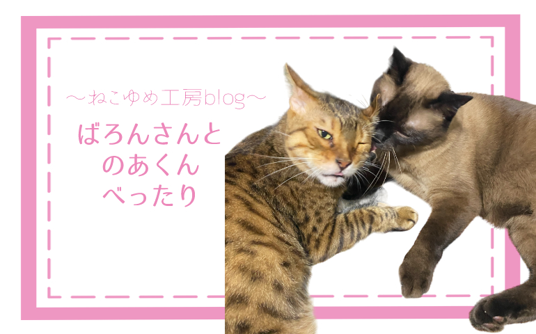 ばろんさんとのあくんべったり