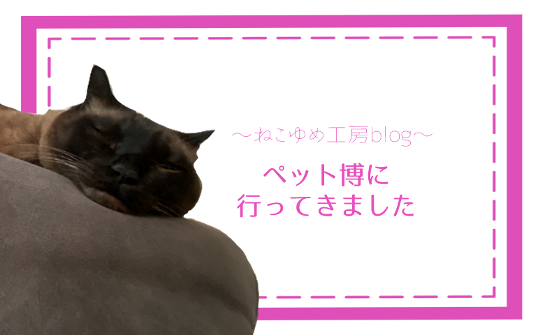 ペット博に行ってきました