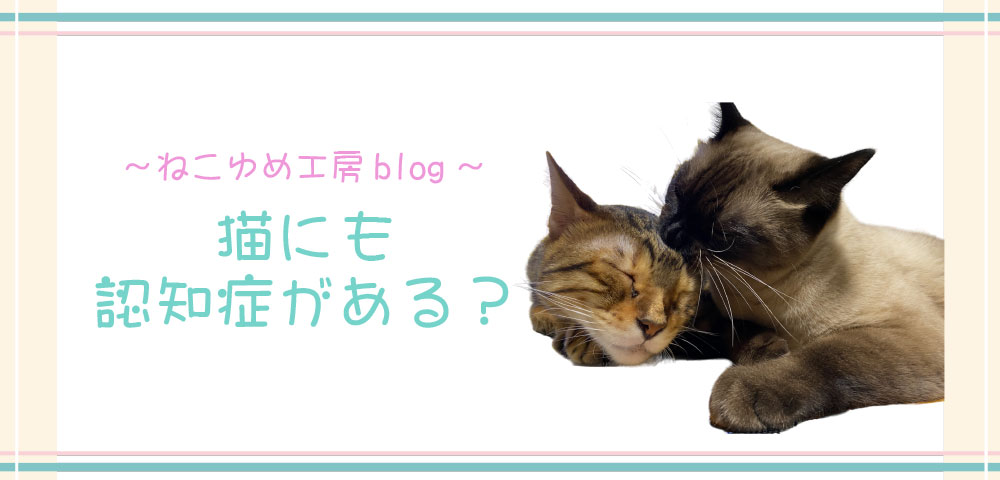 猫にも認知症がある？