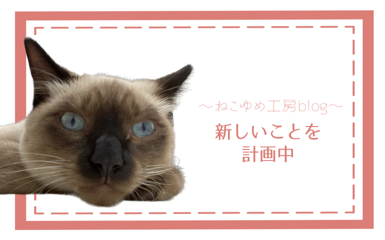 新しいことを計画中