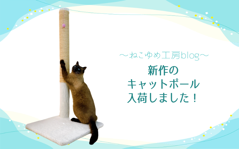 新作キャットポールを複数入荷＆のあくん黒化のお話