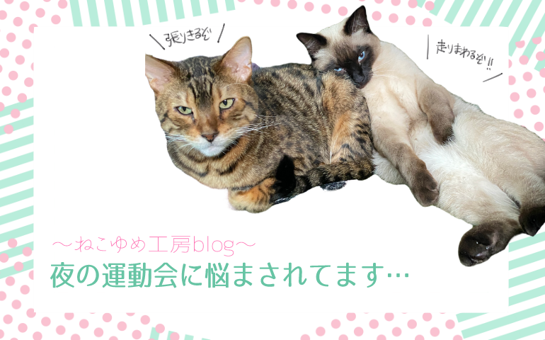 夜の運動会に悩まされてます…