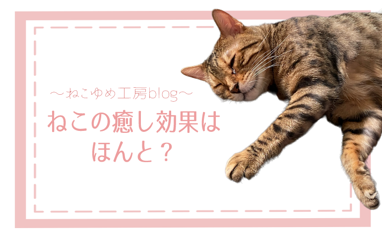 ねこの癒し効果はほんと？