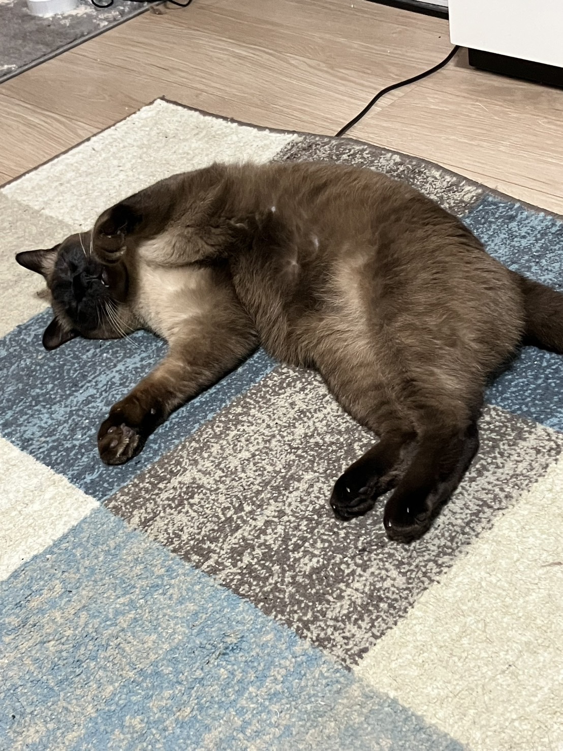 のあくんはでかい